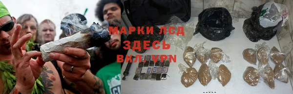 ALPHA-PVP Белокуриха